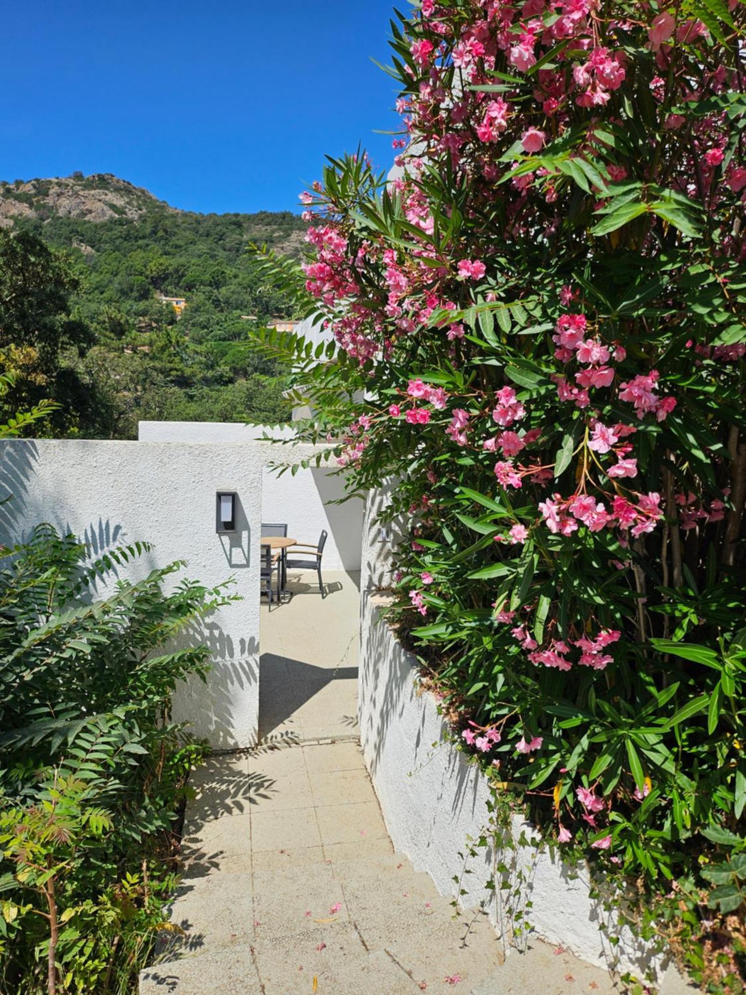 Cap Sud Vacances, La Garde-Freinet Exterior foto